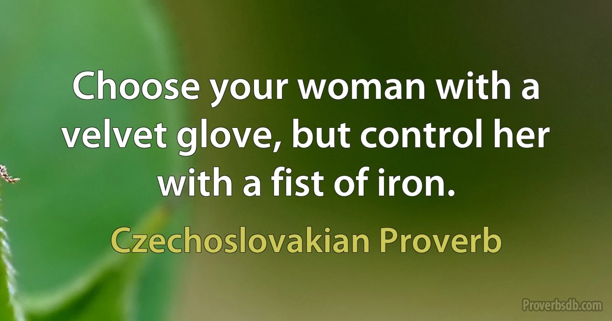 Choose your woman with a velvet glove, but control her with a fist of iron. (Czechoslovakian Proverb)