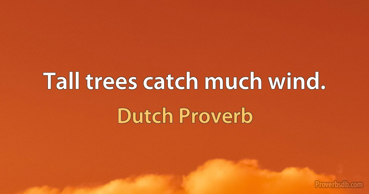 Tall trees catch much wind. (Dutch Proverb)