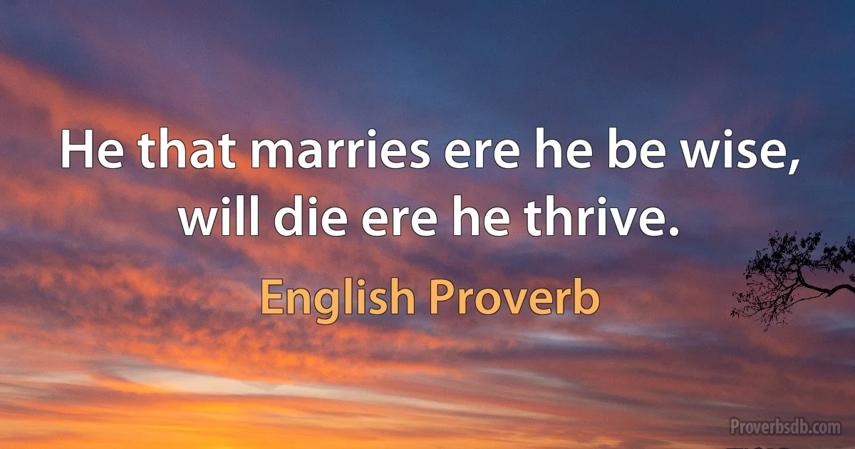 He that marries ere he be wise, will die ere he thrive. (English Proverb)