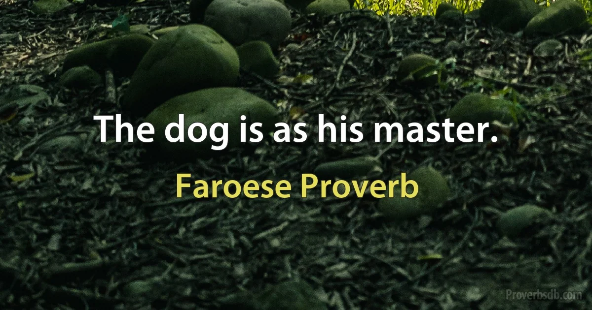 The dog is as his master. (Faroese Proverb)