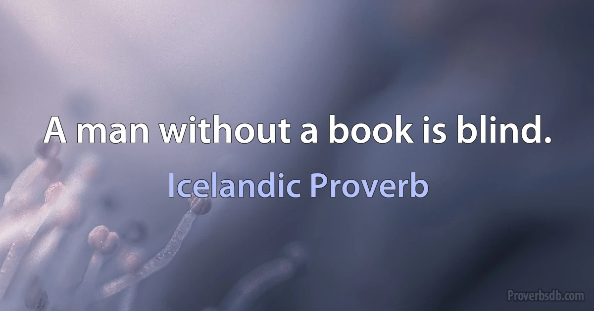 A man without a book is blind. (Icelandic Proverb)