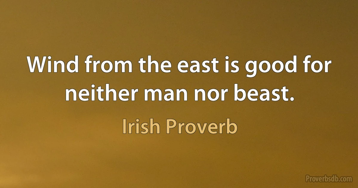 Wind from the east is good for neither man nor beast. (Irish Proverb)