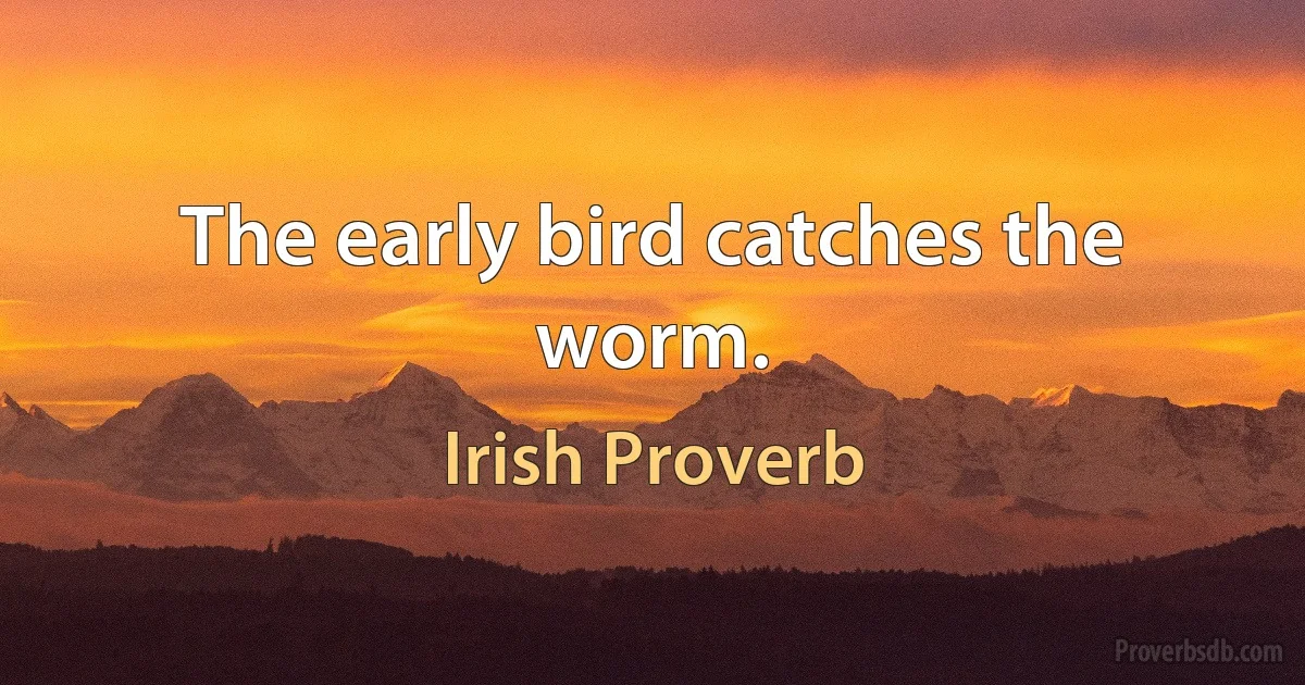 The early bird catches the worm. (Irish Proverb)