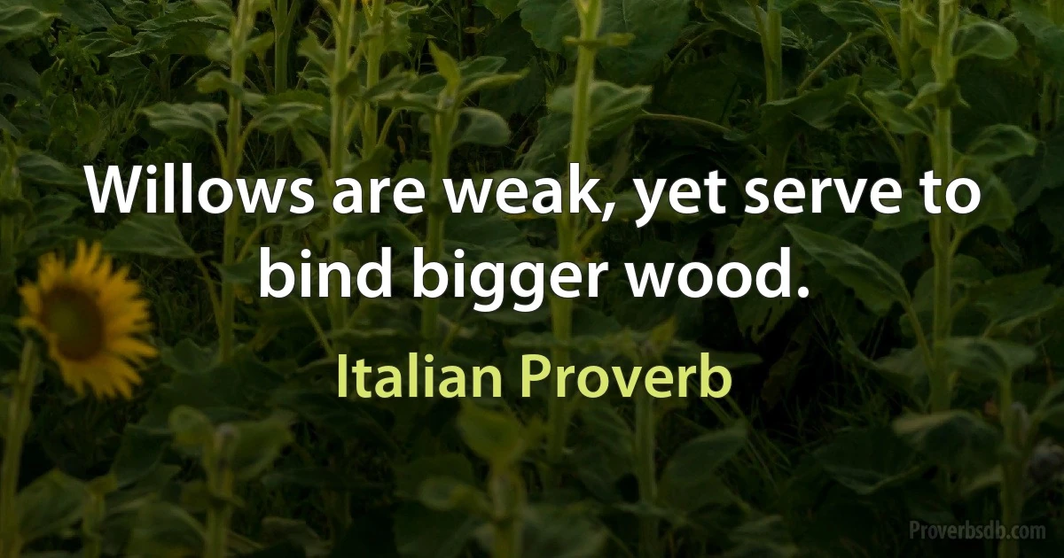 Willows are weak, yet serve to bind bigger wood. (Italian Proverb)