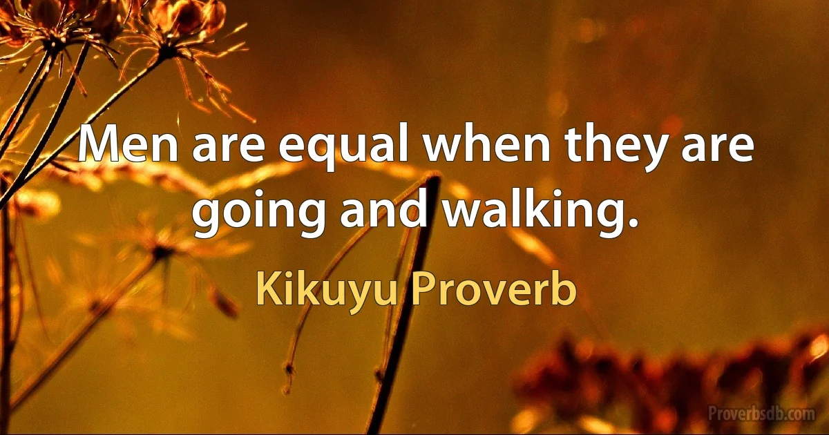 Men are equal when they are going and walking. (Kikuyu Proverb)