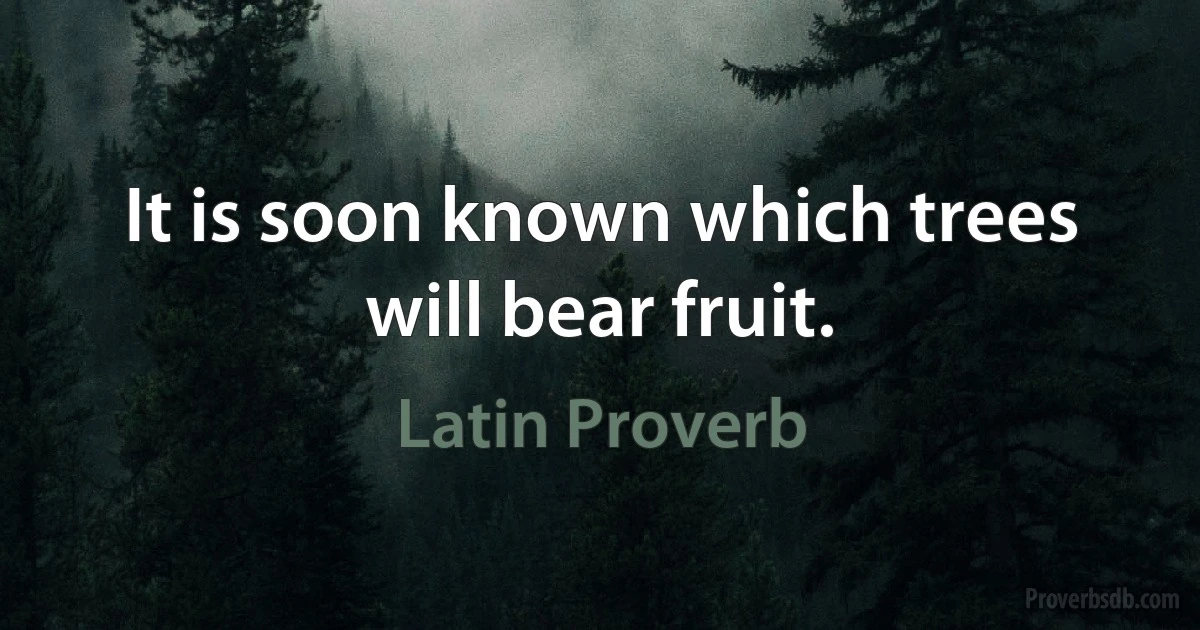 It is soon known which trees will bear fruit. (Latin Proverb)