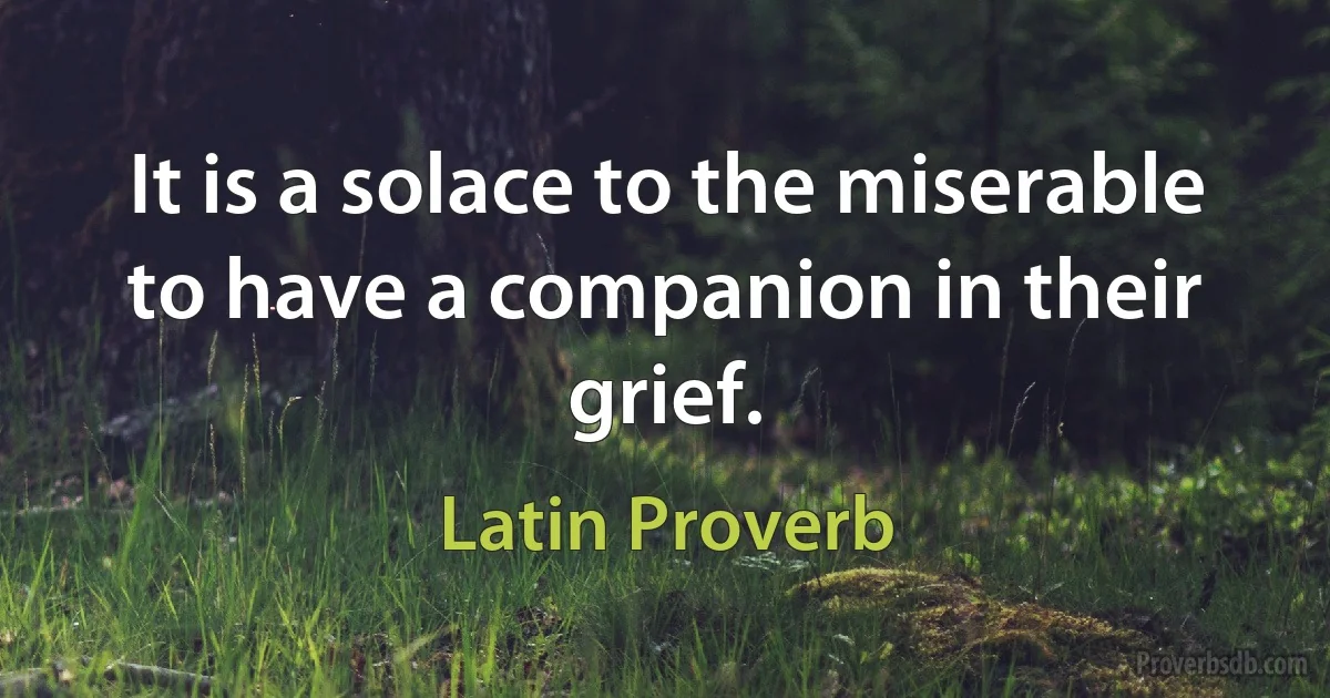 It is a solace to the miserable to have a companion in their grief. (Latin Proverb)