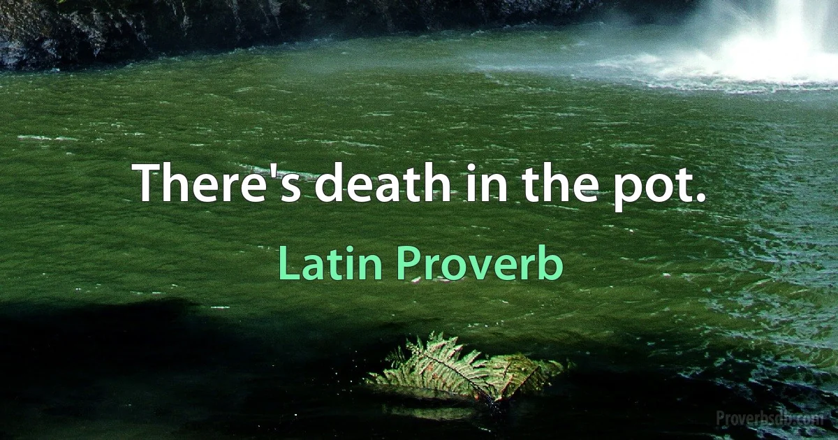 There's death in the pot. (Latin Proverb)