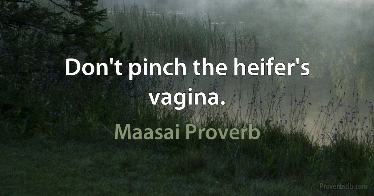 Don't pinch the heifer's vagina. (Maasai Proverb)