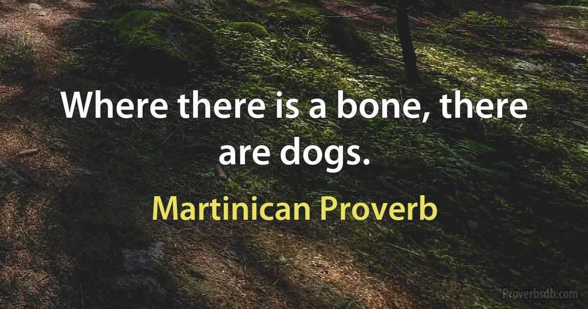 Where there is a bone, there are dogs. (Martinican Proverb)