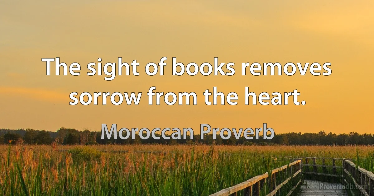 The sight of books removes sorrow from the heart. (Moroccan Proverb)