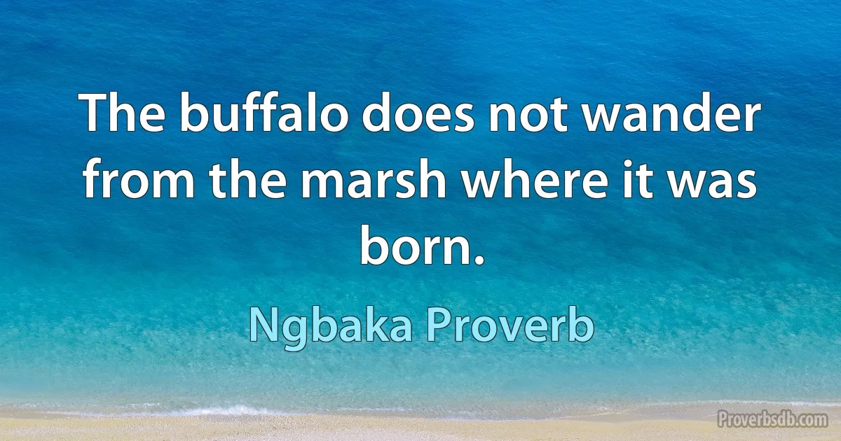 The buffalo does not wander from the marsh where it was born. (Ngbaka Proverb)