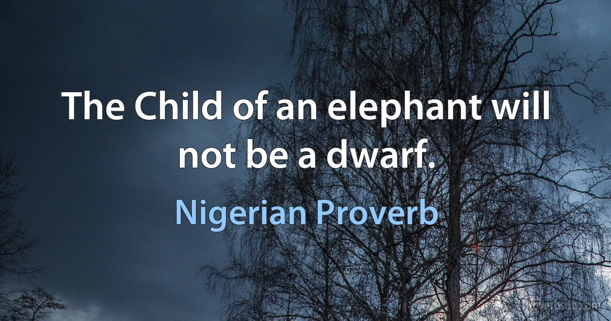 The Child of an elephant will not be a dwarf. (Nigerian Proverb)