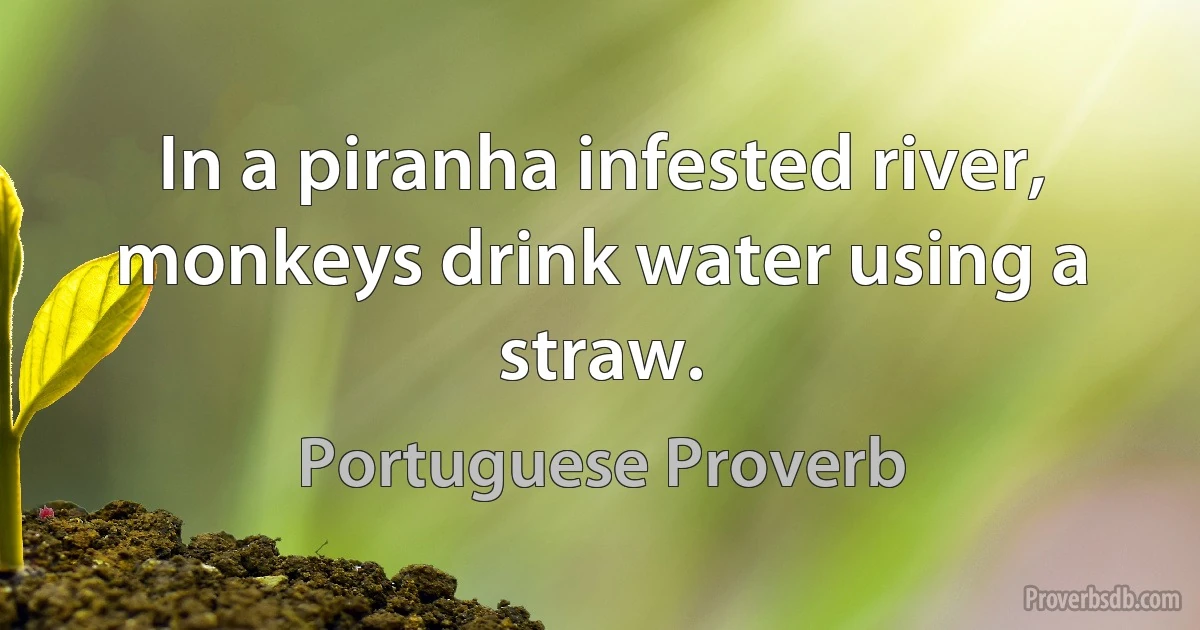 In a piranha infested river, monkeys drink water using a straw. (Portuguese Proverb)