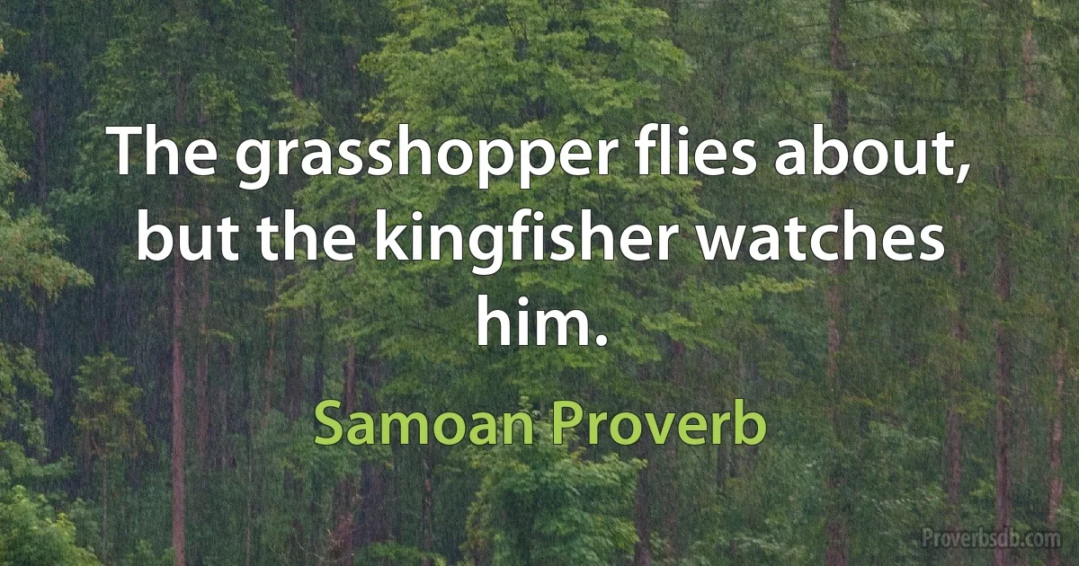 The grasshopper flies about, but the kingfisher watches him. (Samoan Proverb)