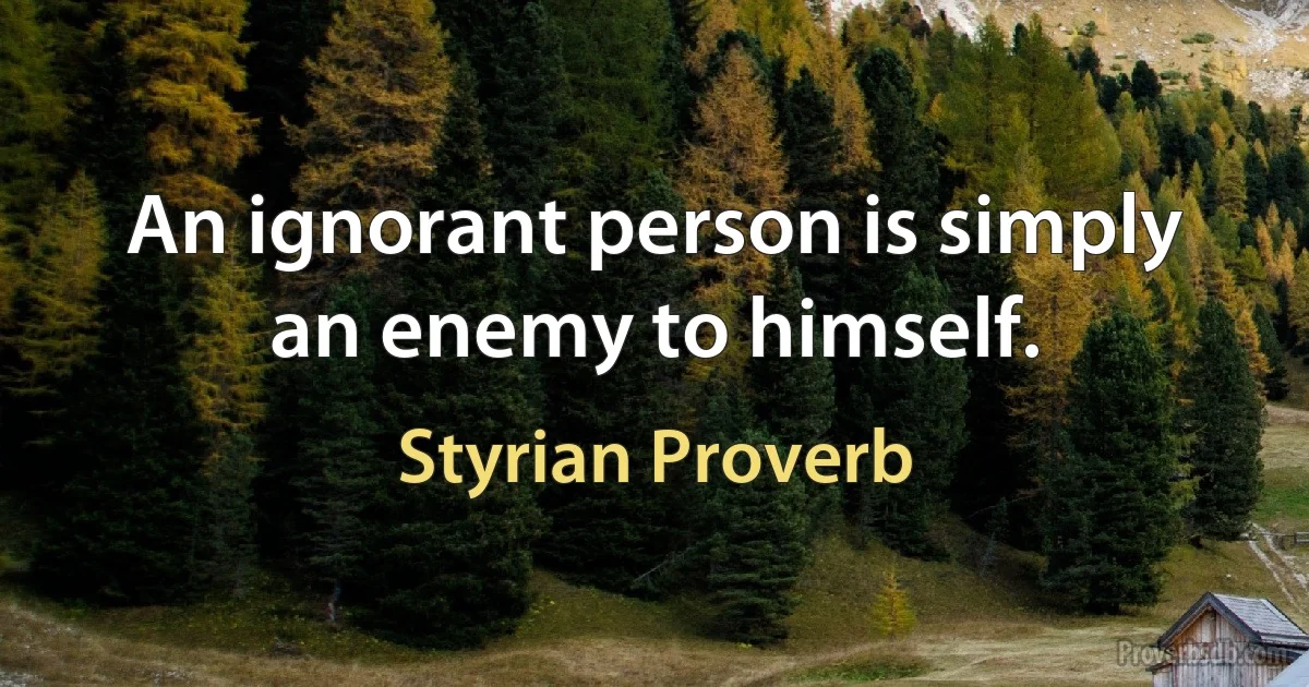 An ignorant person is simply an enemy to himself. (Styrian Proverb)