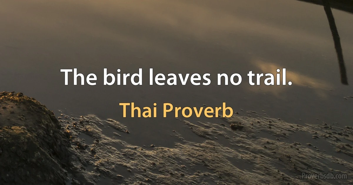 The bird leaves no trail. (Thai Proverb)