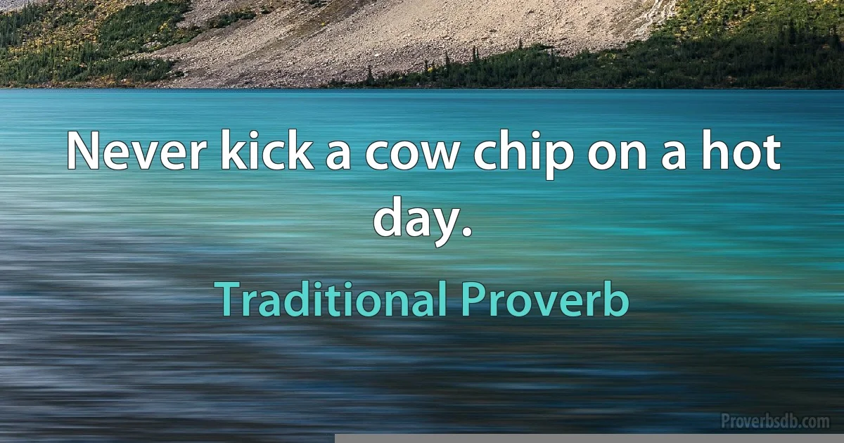 Never kick a cow chip on a hot day. (Traditional Proverb)