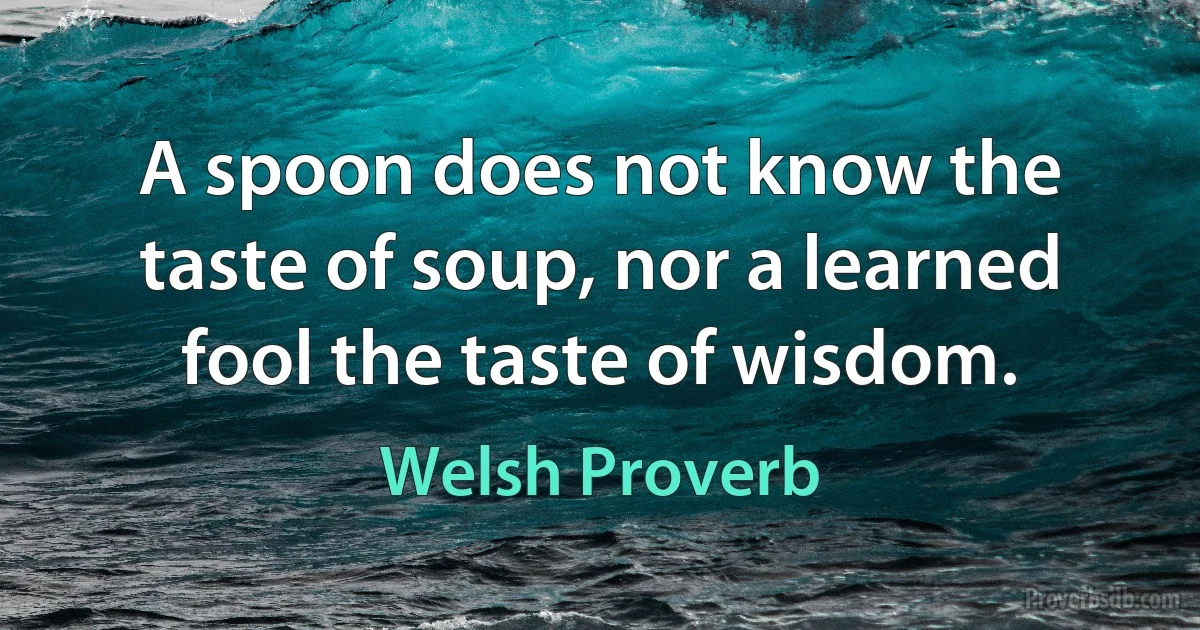 A spoon does not know the taste of soup, nor a learned fool the taste of wisdom. (Welsh Proverb)