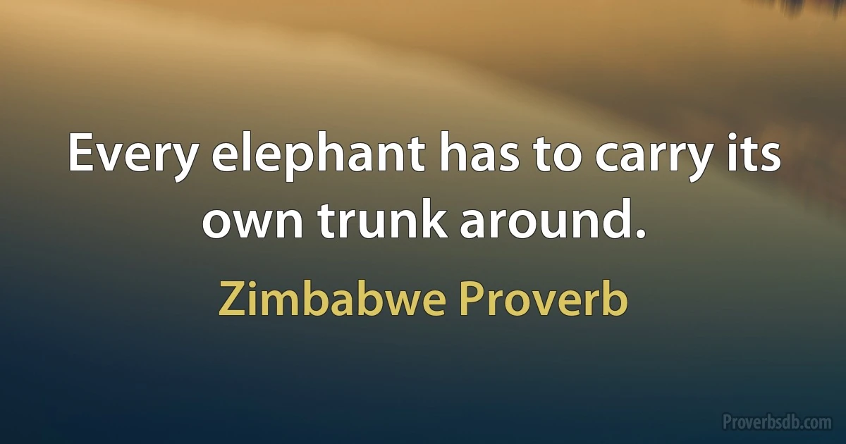 Every elephant has to carry its own trunk around. (Zimbabwe Proverb)