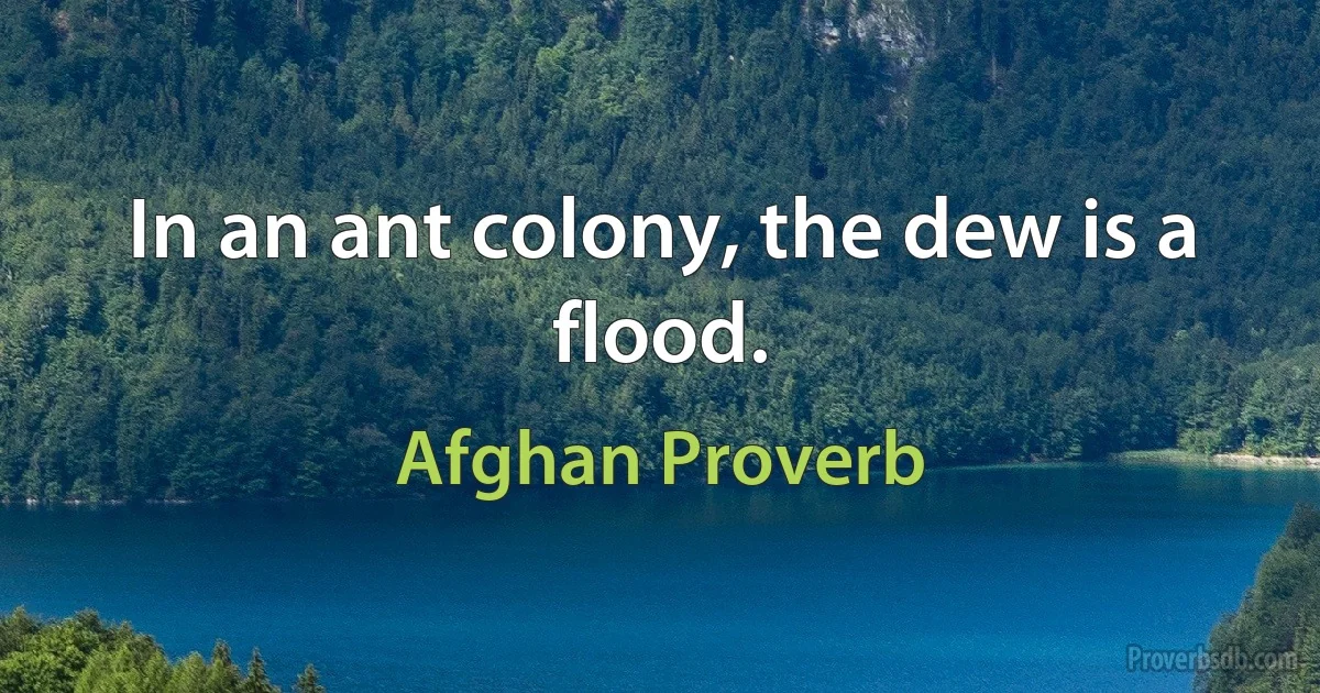 In an ant colony, the dew is a flood. (Afghan Proverb)