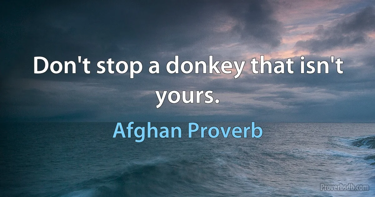 Don't stop a donkey that isn't yours. (Afghan Proverb)