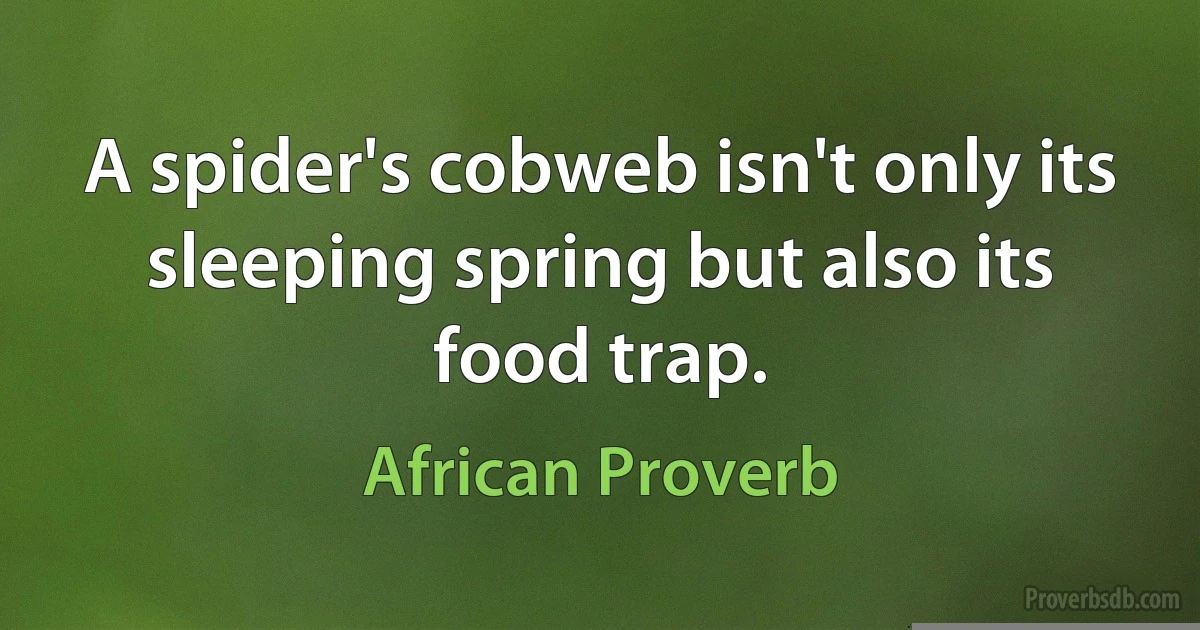 A spider's cobweb isn't only its sleeping spring but also its food trap. (African Proverb)