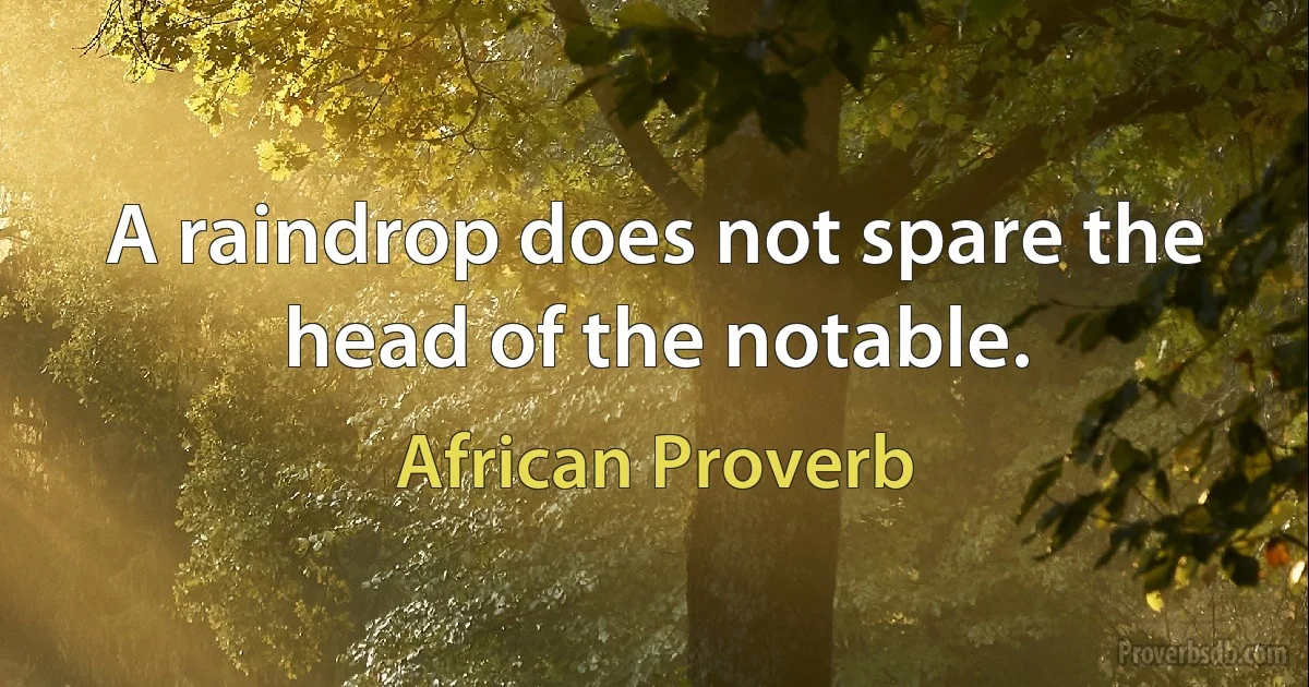 A raindrop does not spare the head of the notable. (African Proverb)