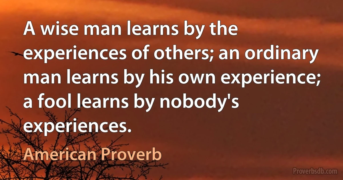 A wise man learns by the experiences of others; an ordinary man learns by his own experience; a fool learns by nobody's experiences. (American Proverb)