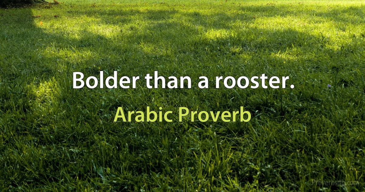 Bolder than a rooster. (Arabic Proverb)