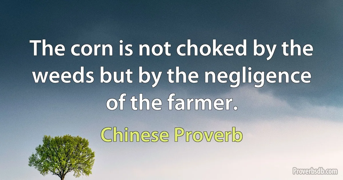 The corn is not choked by the weeds but by the negligence of the farmer. (Chinese Proverb)