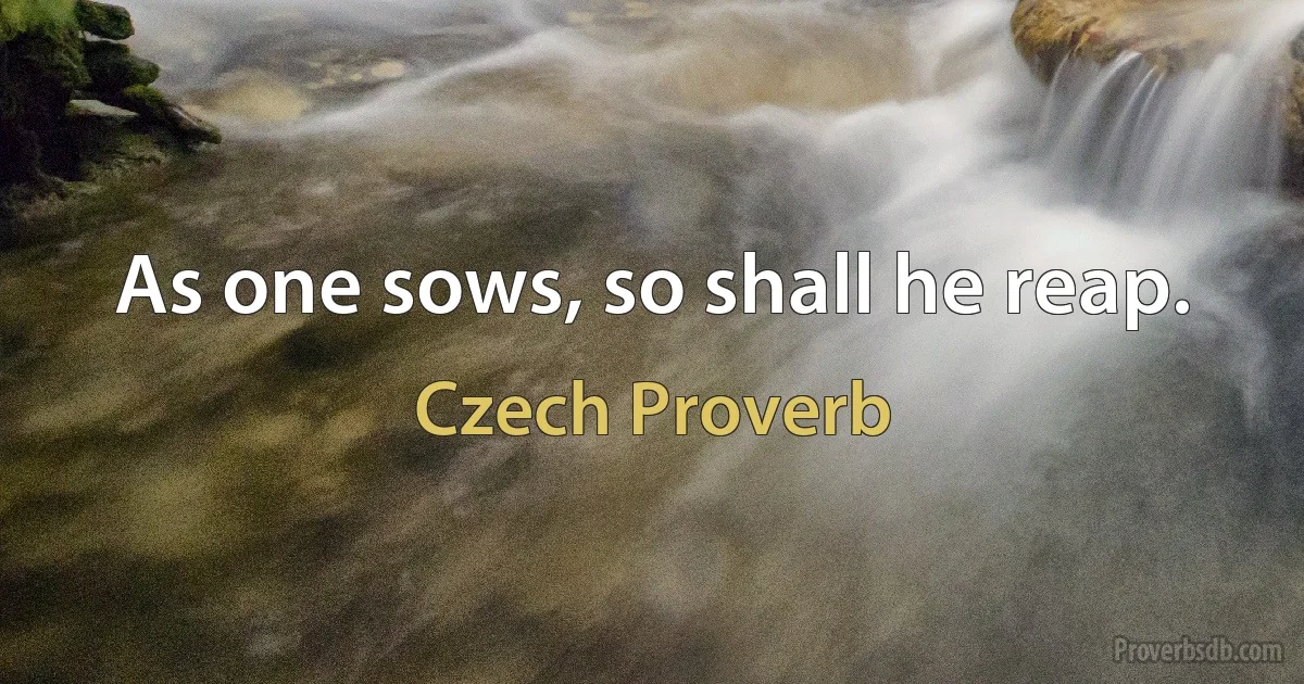 As one sows, so shall he reap. (Czech Proverb)