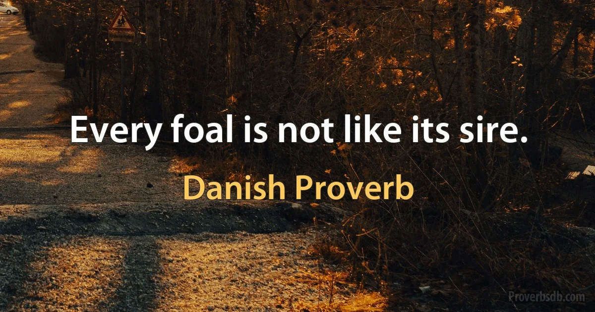 Every foal is not like its sire. (Danish Proverb)