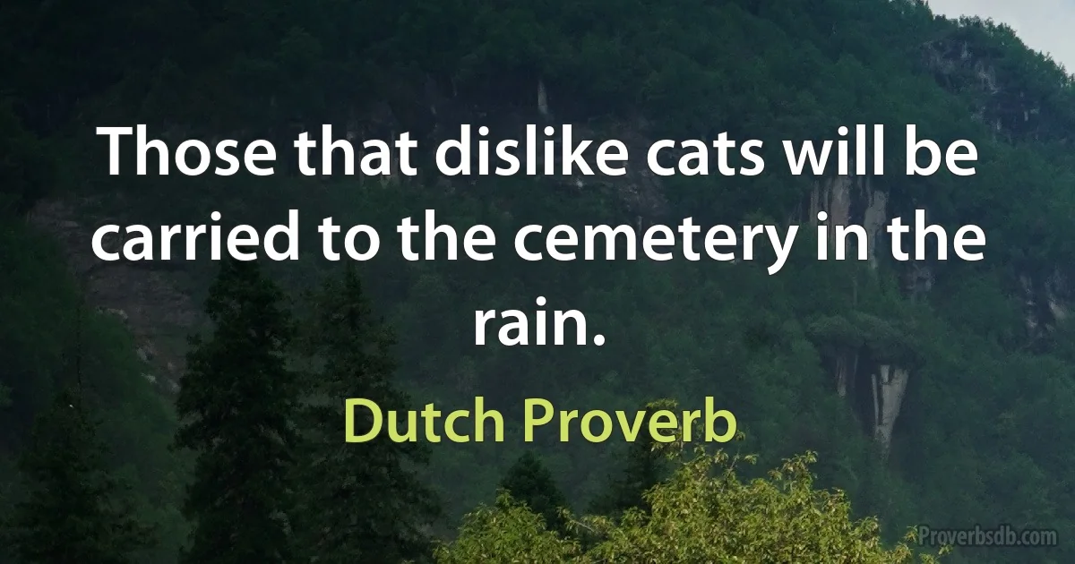 Those that dislike cats will be carried to the cemetery in the rain. (Dutch Proverb)