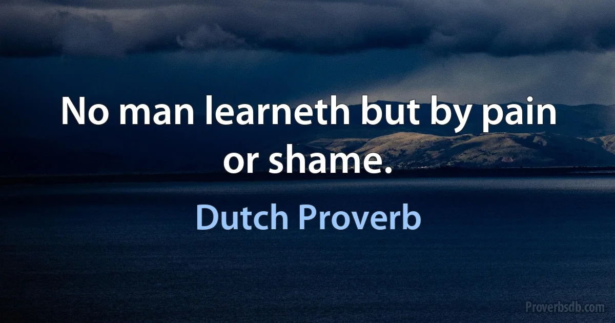 No man learneth but by pain or shame. (Dutch Proverb)