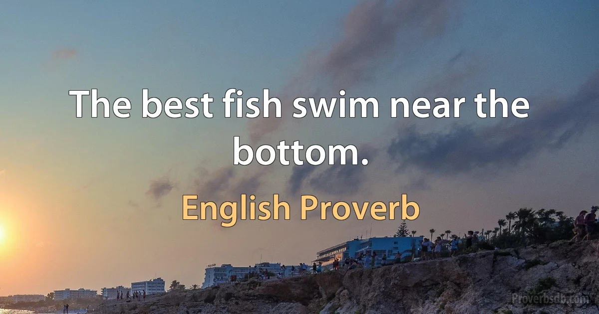 The best fish swim near the bottom. (English Proverb)