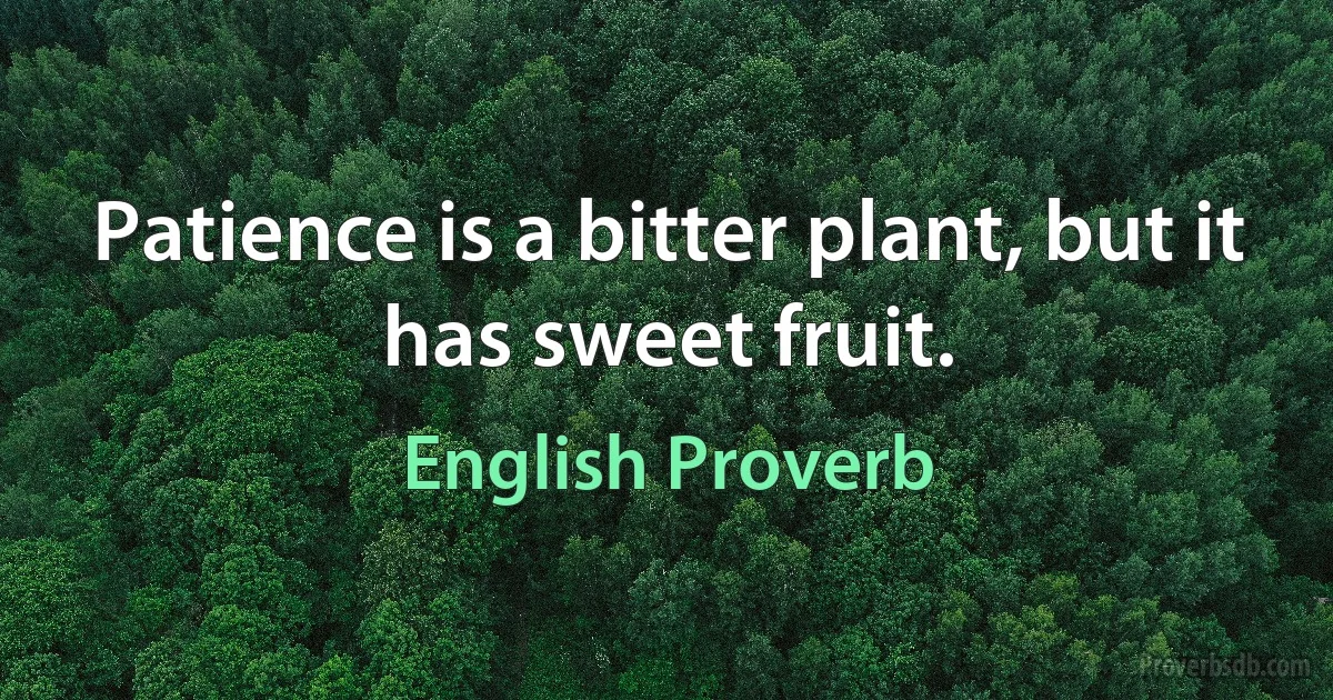 Patience is a bitter plant, but it has sweet fruit. (English Proverb)