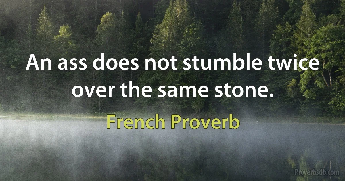 An ass does not stumble twice over the same stone. (French Proverb)