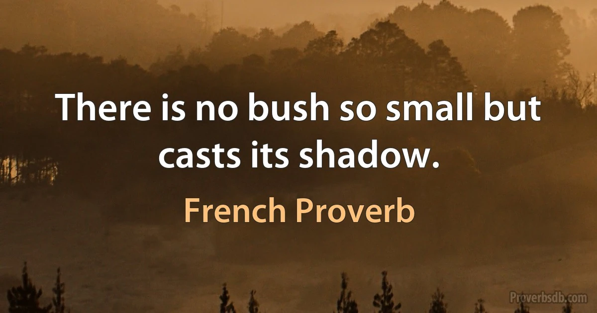 There is no bush so small but casts its shadow. (French Proverb)