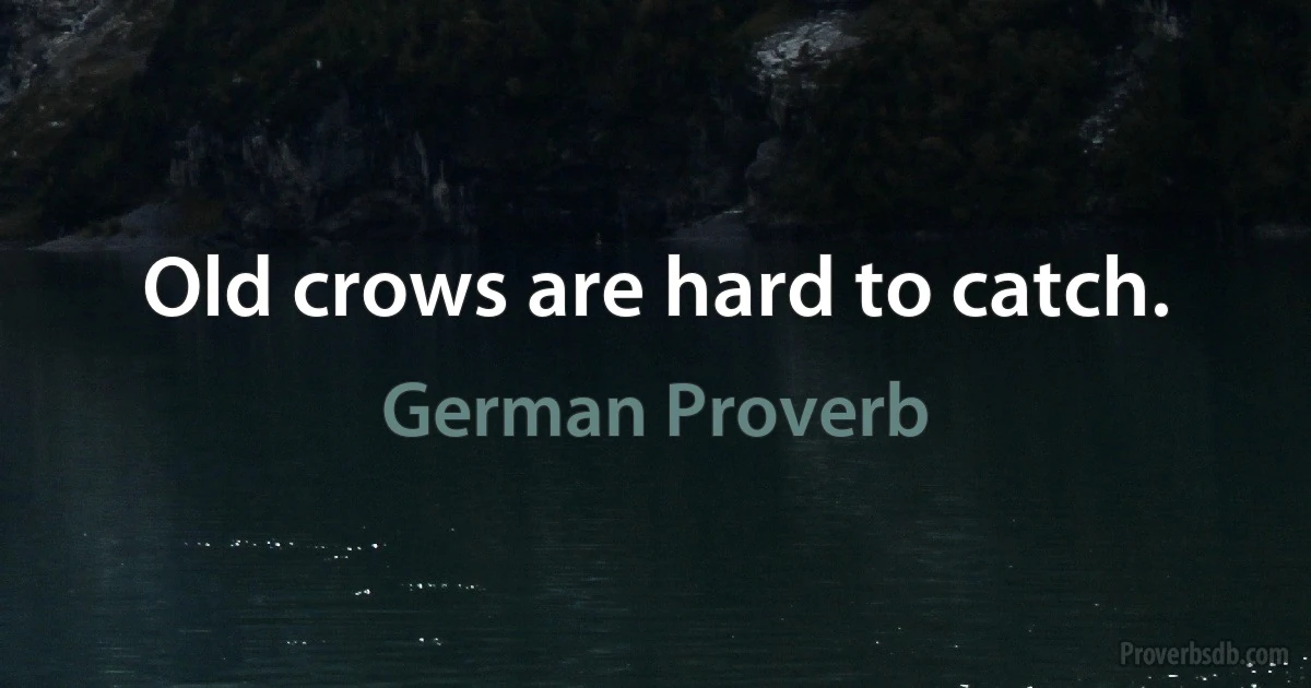 Old crows are hard to catch. (German Proverb)