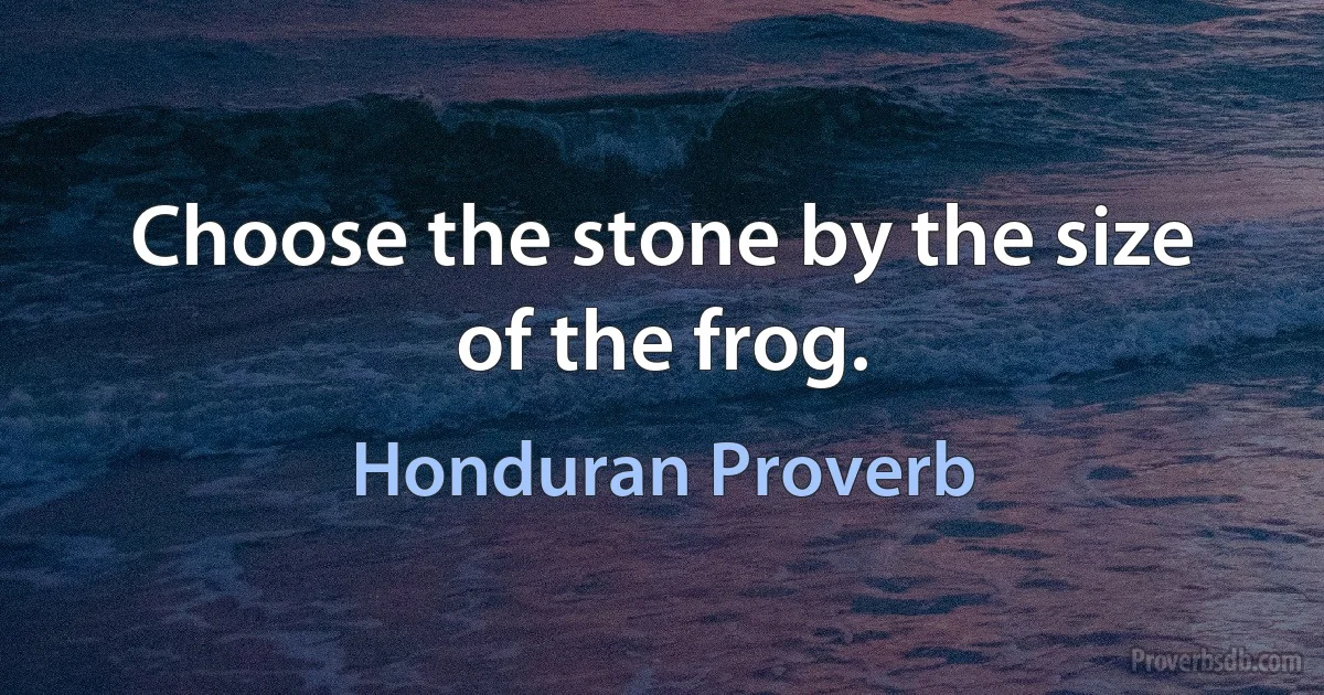 Choose the stone by the size of the frog. (Honduran Proverb)