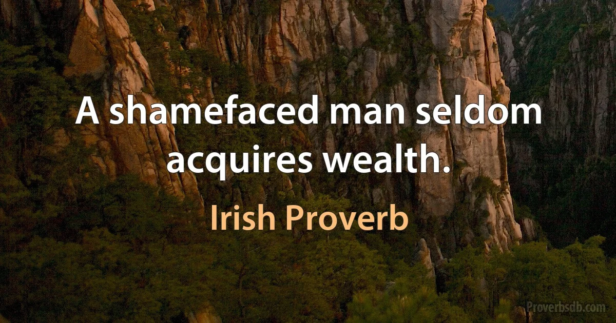 A shamefaced man seldom acquires wealth. (Irish Proverb)