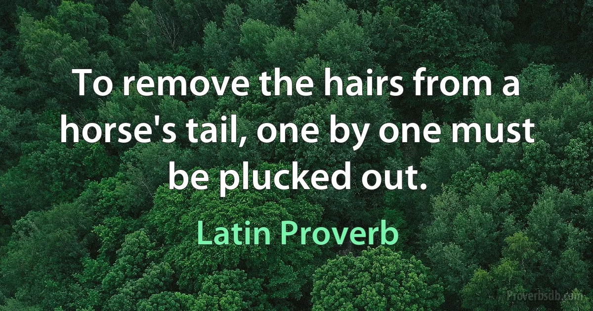 To remove the hairs from a horse's tail, one by one must be plucked out. (Latin Proverb)