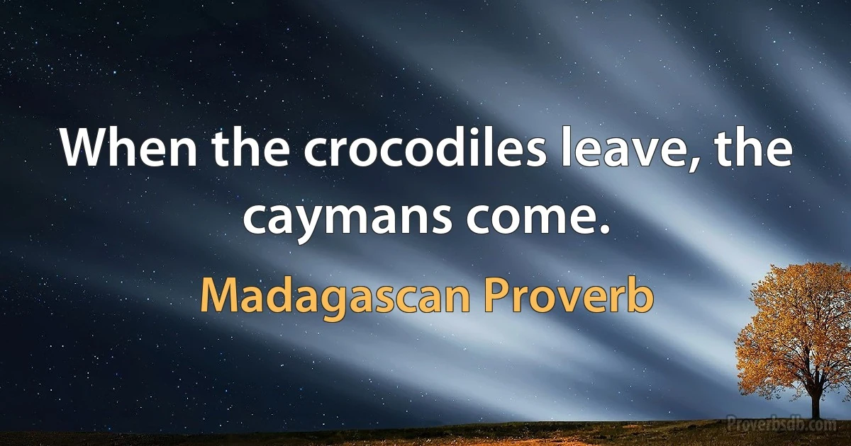 When the crocodiles leave, the caymans come. (Madagascan Proverb)