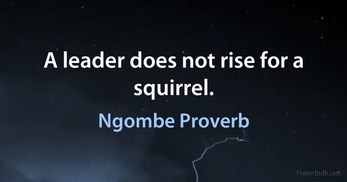 A leader does not rise for a squirrel. (Ngombe Proverb)