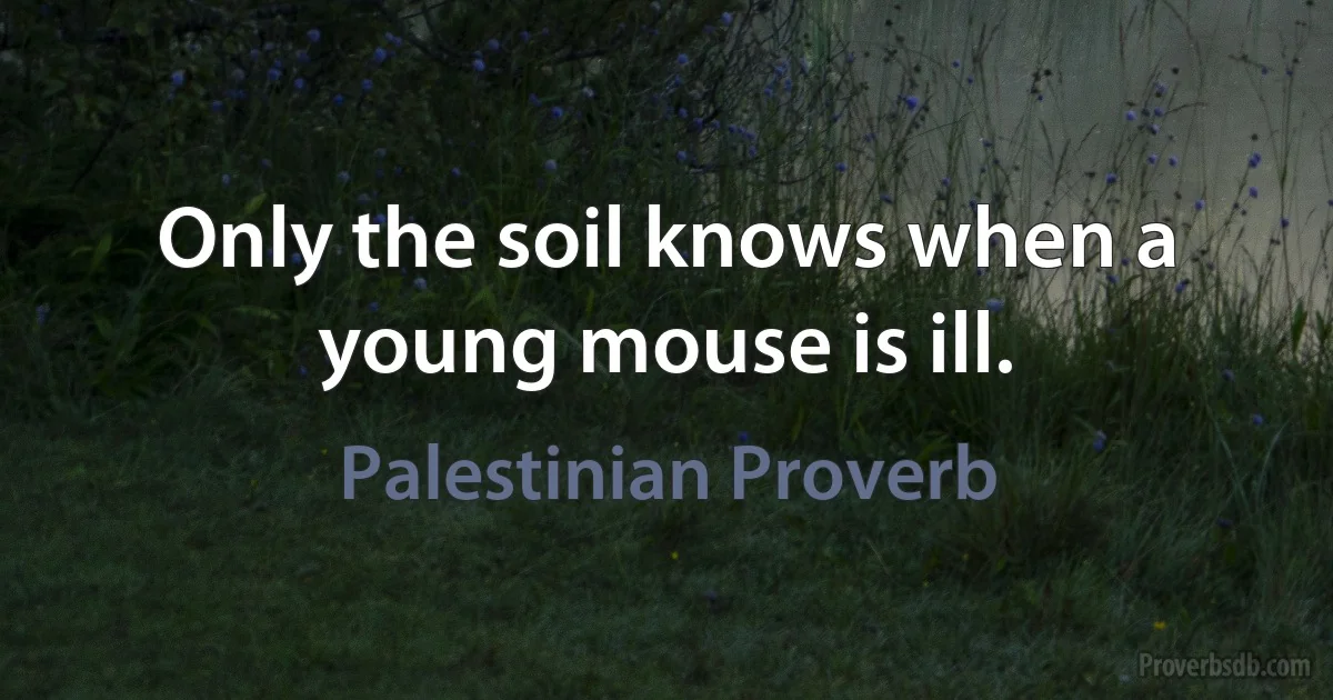 Only the soil knows when a young mouse is ill. (Palestinian Proverb)