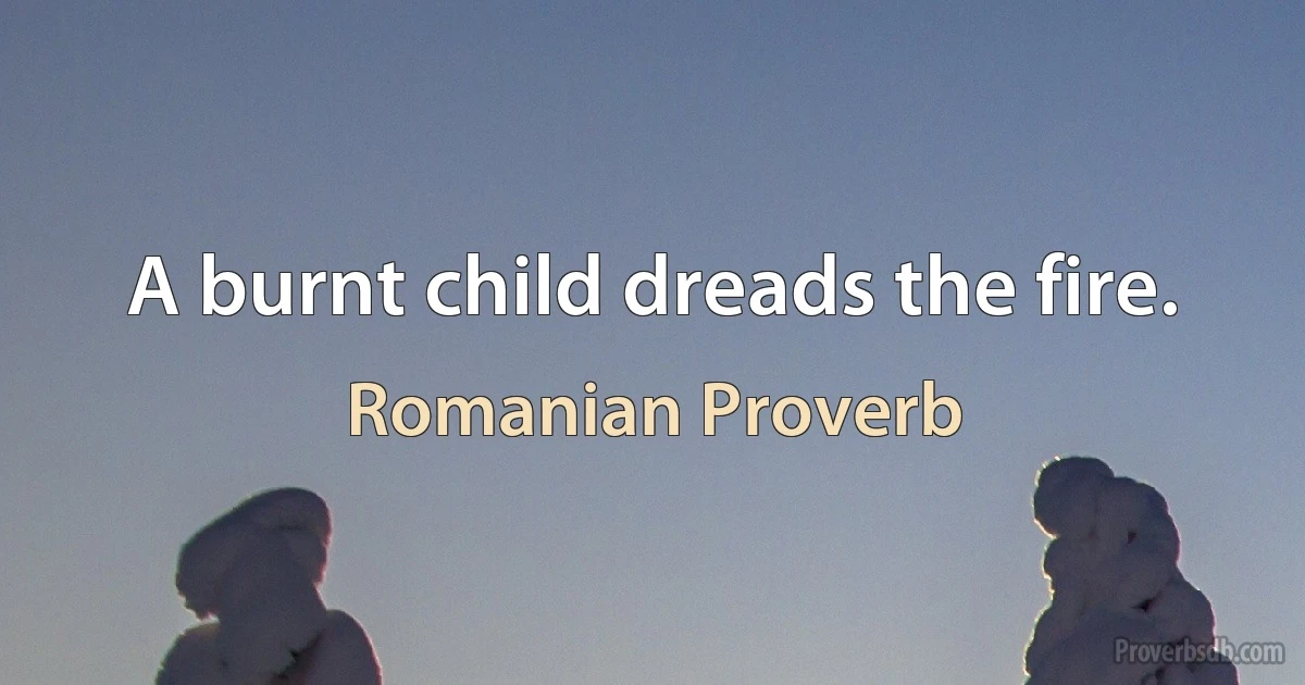 A burnt child dreads the fire. (Romanian Proverb)