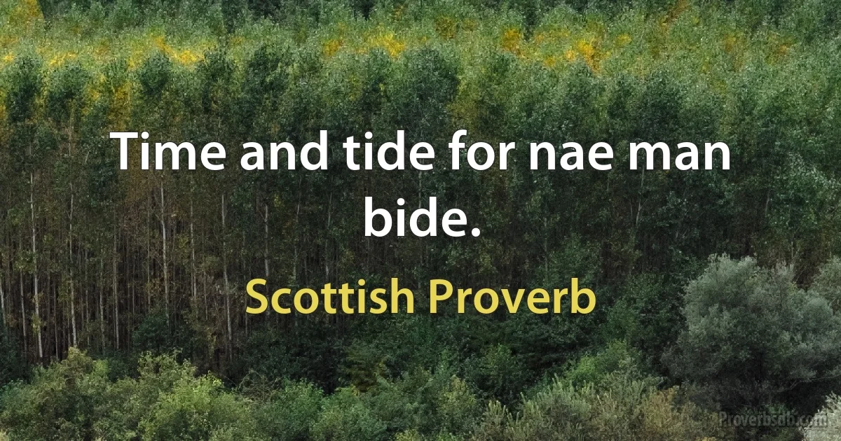 Time and tide for nae man bide. (Scottish Proverb)