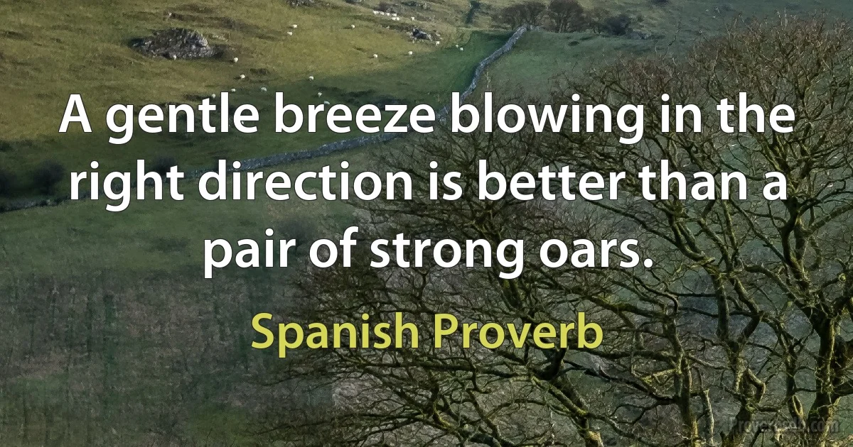 A gentle breeze blowing in the right direction is better than a pair of strong oars. (Spanish Proverb)