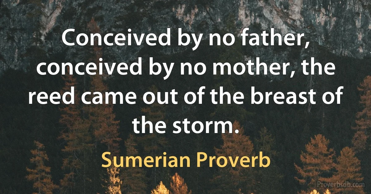 Conceived by no father, conceived by no mother, the reed came out of the breast of the storm. (Sumerian Proverb)